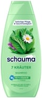 Shampoo im Angebot bei REWE in Altenburg Shampoo Angebote von Schauma bei REWE Altenburg für 1,69 €