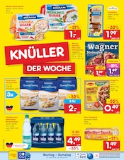 Maggi im Netto Marken-Discount Prospekt in Nordhorn Aktueller Netto Marken-Discount Prospekt mit Maggi, "Aktuelle Angebote", Seite 2