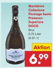 Collezione Plumage Asolo Prosecco Superiore DOCG Brut Angebote von Montelvini bei Netto Marken-Discount Nordhausen für 6,99 €