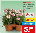 Aktuelles Edelnelken Angebot bei Netto Marken-Discount in Saarbrücken ab 5,99 €