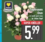 Baum im EDEKA Prospekt Topfrosen Duo im aktuellen EDEKA Prospekt für 5,99 €