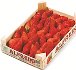 Erdbeeren im aktuellen Netto mit dem Scottie Prospekt