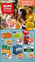 REWE Prospekt "Dein Markt" für Aerzen, 30 Seiten, 06.05.2024 - 11.05.2024