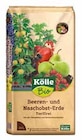 Beeren- und Naschobst-Erde - torffrei Angebote von Kölle Bio bei Pflanzen Kölle Germering für 6,99 €