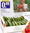 Angebot im WEZ Lauenau Prospekt WEZ Lauenau Prospekt mit im Angebot für 0,49 €