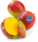Mango im Angebot bei Netto Marken-Discount in Bottrop Mango Angebote bei Netto Marken-Discount Bottrop für 1,00 €