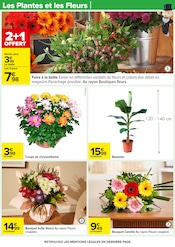 Chrysanthèmes Angebote im Prospekt "LE MOIS MONOPOLY" von Carrefour auf Seite 67