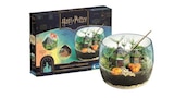Terrarium - Harry Potter - CLEMENTONI en promo chez Carrefour Terrarium - Harry Potter - CLEMENTONI dans le catalogue Carrefour