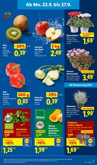 Äpfel im Lidl Prospekt "LIDL LOHNT SICH" mit 68 Seiten (Oldenburg)