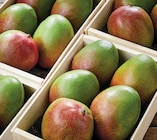 Mangue Affinée dans le catalogue Netto