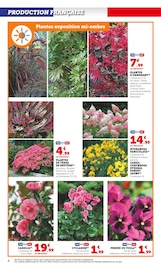 Hortensia Angebote im Prospekt "LES PRIX BAS Spécial jardin d'automne" von Hyper U auf Seite 4