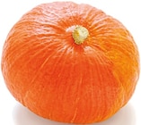 Hokkaido Speisekürbis für 0,99 € bei Netto mit dem Scottie im Angebot Hokkaido Speisekürbis im aktuellen Netto mit dem Scottie Prospekt