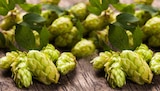 Pils Angebote von Bitburger bei nahkauf Maintal für 10,99 €