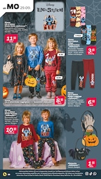 Netto mit dem Scottie Kindersocken im Prospekt 
