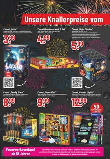 Feuerwerk im Trinkgut Prospekt "Aktuelle Angebote" mit 18 Seiten (Celle)