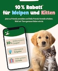 10 % Rabatt im aktuellen Fressnapf Prospekt