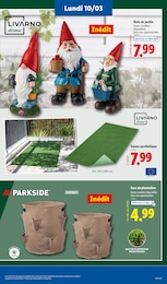 Offre Plante Artificielle dans le catalogue Lidl du moment à la page 7