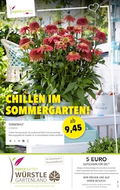 Aktueller Gartenland Würstle Prospekt mit Stauden, "CHILLEN IM SOMMERGARTEN!", Seite 1