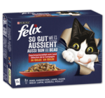 Aktuelles Felix Angebot bei Penny in Magdeburg ab 3,99 €