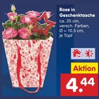 Aktuelle Pflanzen Angebote bei Netto Marken-Discount in Hannover Aktuelles Rose in Geschenktasche Angebot bei Netto Marken-Discount in Hannover ab 4,44 €