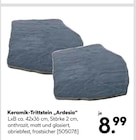 Keramik-Trittstein Ardesia bei Hellweg im Westerhausen Prospekt für 8,99 €