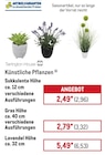 Künstliche Pflanze Sukkulente im METRO Prospekt Künstliche Pflanze Sukkulente von Tarrington House im aktuellen METRO Prospekt für 2,96 €