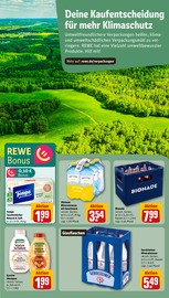 Gerolsteiner im REWE Prospekt in St. Ingbert Aktueller REWE Prospekt mit Gerolsteiner, "Dein Markt", Seite 29