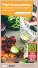 Angebot im REWE Steineroth Prospekt REWE Steineroth Prospekt mit im Angebot für