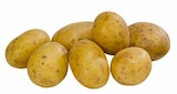 Deutschland Speisekartoffeln im Angebot bei E center in Coesfeld Deutschland Speisekartoffeln Angebote bei E center Coesfeld für 2,22 €