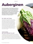 Auberginen Auberginen