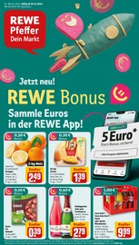 Aktueller REWE Supermarkt Prospekt in Ornbau und Umgebung, "Dein Markt" mit 34 Seiten, 30.12.2024 - 04.01.2025