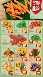 Pflanzen Angebot im aktuellen REWE Prospekt auf Seite 7