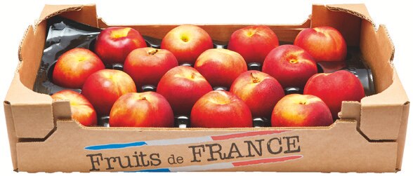 Nectarines blanches ou Nectarines jaunes