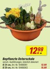 Bepflanzte Osterschale Angebote bei toom Baumarkt Kaiserslautern für 12,99 €