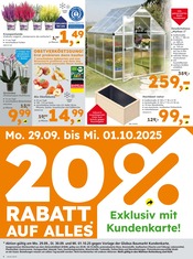 Aktueller Globus-Baumarkt Prospekt mit Äpfel, "Immer eine Idee besser", Seite 4