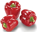 Paprika rot Angebote bei METRO Ravensburg für 1,92 €