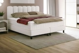 BOXSPRINGBETT im Angebot bei XXXLutz in Ludwigshafen BOXSPRINGBETT Angebote von esposa bei XXXLutz Ludwigshafen für 999,00 €