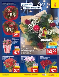 Netto Marken-Discount Alpenveilchen im Prospekt 