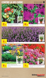 Jardinage Angebote im Prospekt "MERVEILLEUSES PÂQUES" von Intermarché Super Jardinage Angebote im Prospekt "MERVEILLEUSES PÂQUES" von Intermarché Super auf Seite 19