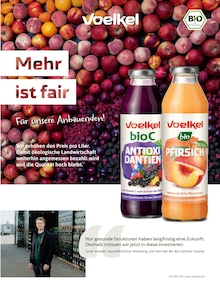 Saft im Alnatura Prospekt "Alnatura Magazin" mit 68 Seiten (Remscheid)
