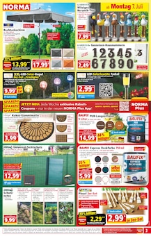 Blumen Angebot im aktuellen Norma Prospekt auf Seite 4