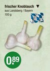 frischer Knoblauch im Angebot bei V-Markt in Regensburg frischer Knoblauch Angebote bei V-Markt Regensburg für 0,89 €