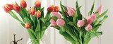 Bouquet 10 Tulipes dans le catalogue Intermarché Super
