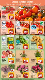 Pflanzen im aktuellen REWE Prospekt (Nürnberg) Pflanzen im REWE Prospekt "Dein Markt" mit 20 Seiten (Nürnberg)
