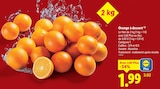 Promo Orange à dessert à 1,99 € dans le catalogue Lidl à Gricourt