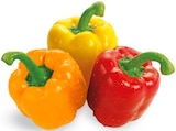 Paprika Mix im Angebot bei REWE in München Paprika Mix Angebote von REWE Beste Wahl bei REWE München für 2,22 €
