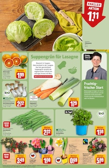 Kräuter im aktuellen REWE Prospekt (Düsseldorf) Kräuter im REWE Prospekt "Dein Markt" mit 36 Seiten (Düsseldorf)