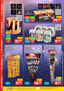 Feuerwerk-Set im Netto Marken-Discount Prospekt "DER ORT, AN DEM DU IMMER AUSGEZEICHNETE PREISE FINDEST." mit 6 Seiten (Düsseldorf)