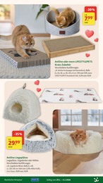 Fressnapf Katzenkorb im Prospekt Fressnapf Katzenkorb im Prospekt