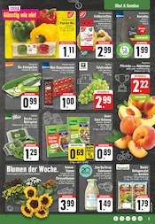 Aktueller EDEKA Prospekt mit Kartoffeln, "Aktuelle Angebote", Seite 5